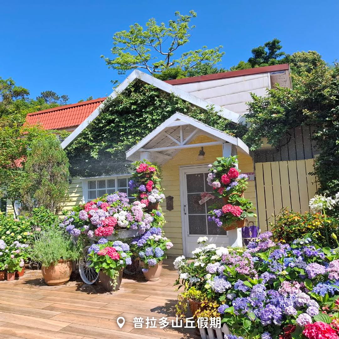 【 #週末桃去哪  北橫繡球花輕旅行 】☀️趁著好天氣出發北橫賞花去！第一站先到 #陽光休閒農莊園區內繡球花開的正漂亮，超好拍還有...