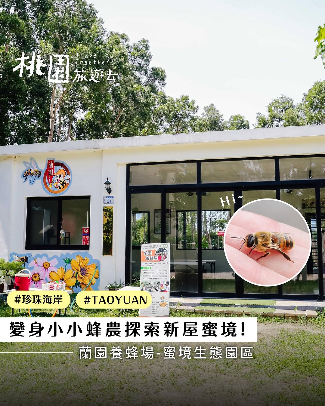  #桃園旅遊去 新屋 “蜜境“  來場蜂場冒險 /你以為蜂場都藏在山林裡嗎？其實在桃園新屋，有一處超特別的「海邊蜂場」@lanyu...