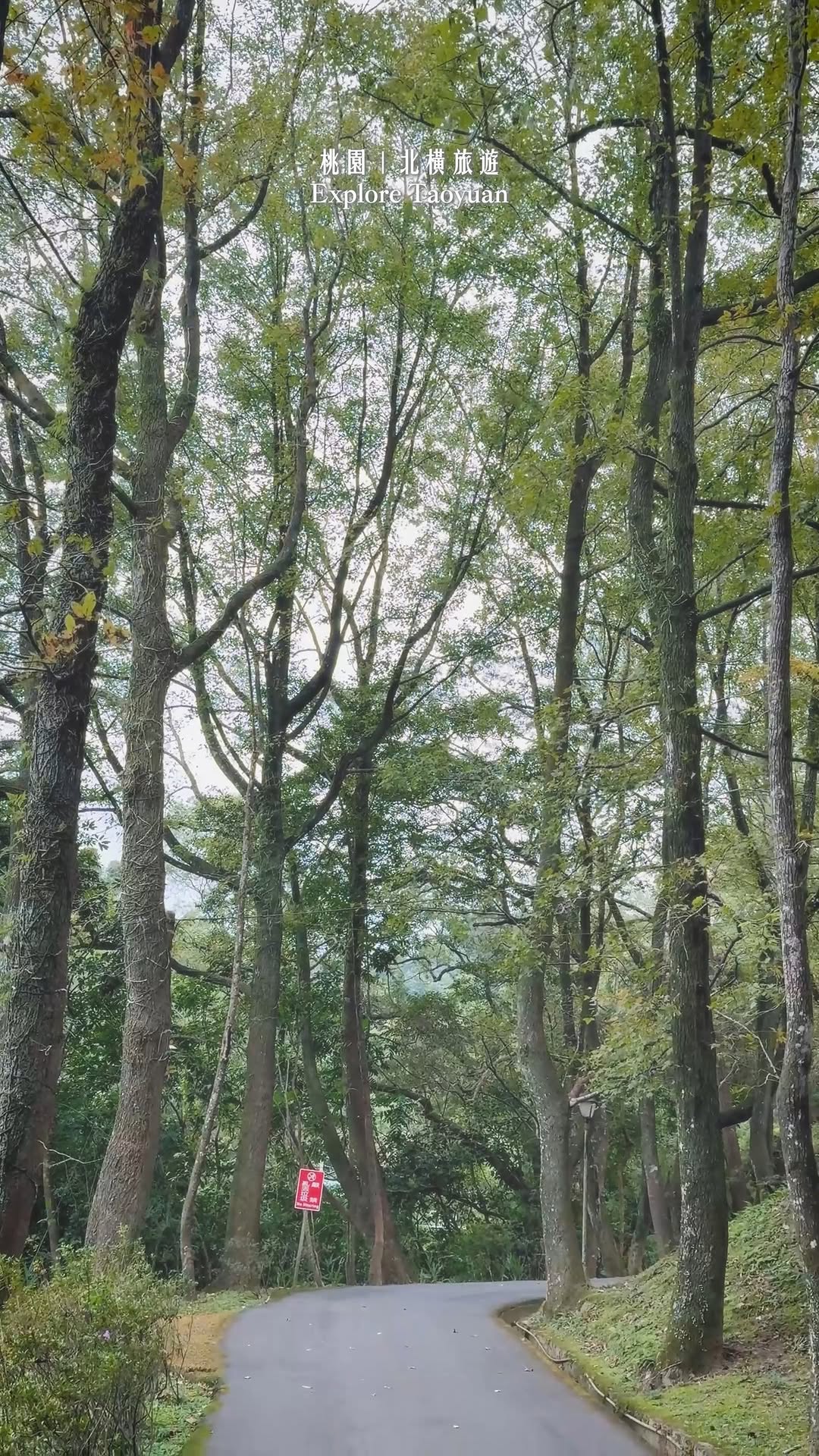  跟著小桃子來去 #探索北橫 /想放鬆、想冒險、想吃好料， 來北橫就對了~這裡一次滿足你！來到 #小烏來，先把身心交給暖呼呼的溫泉...