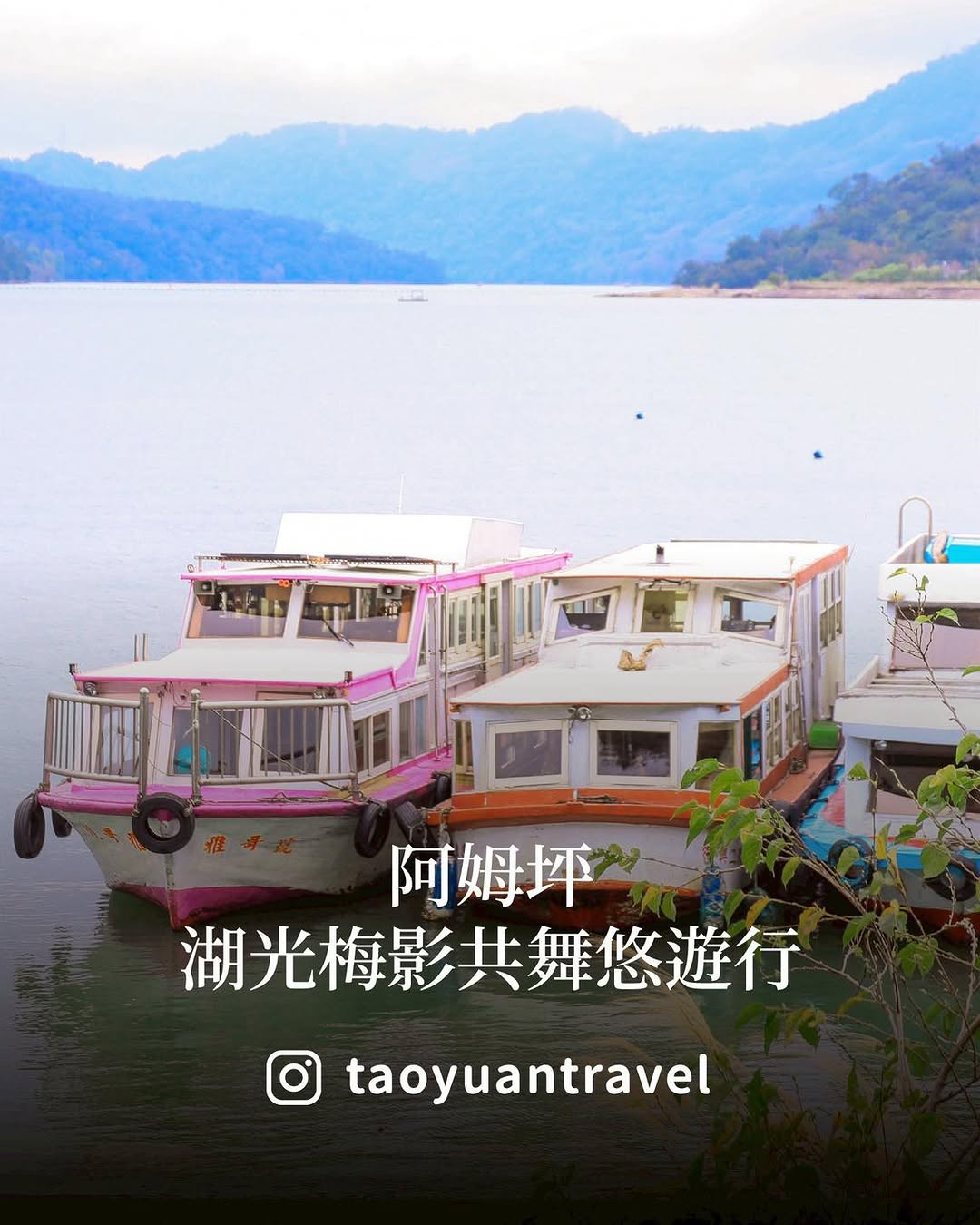  #花馬嬉春 #山林賞花阿姆坪湖光梅影共舞悠遊行冬季的石門水庫，有一種特別安靜又迷人的美湖水澄澈、山景環繞，最適合放慢腳步，好好感...