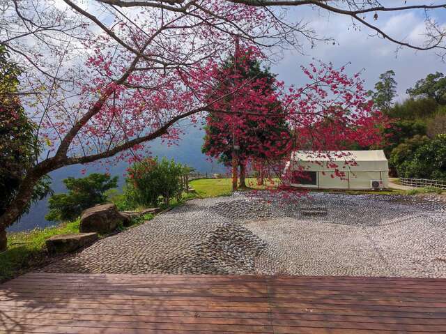 谷力農場露營區