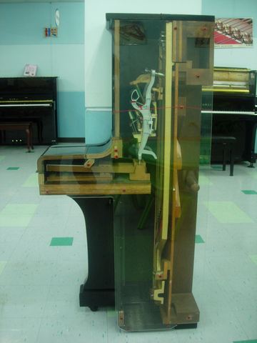 钢琴解剖区