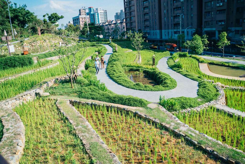 大有梯田生態公園