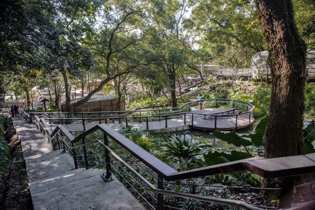 虎头山全龄友善步道