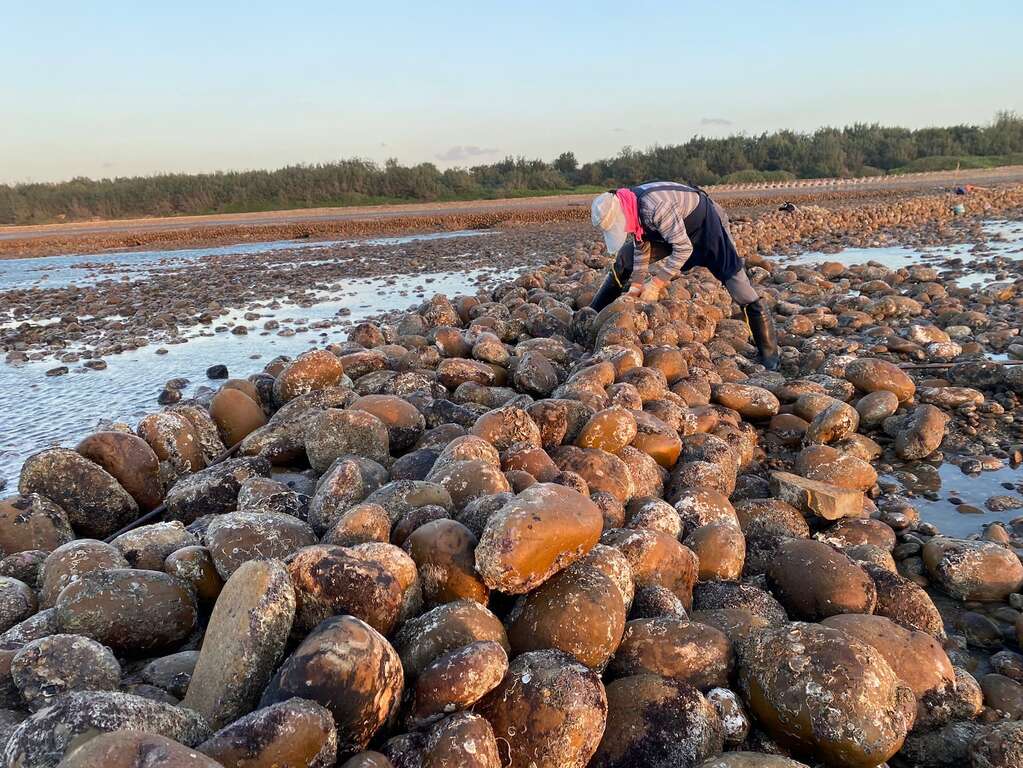 신우(新屋) - 스후(石滬)에서 해양 객가 문화에 대해 알아볼 수 있습니다