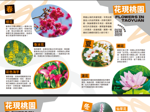 桃園觀光摺頁_桃人喜歡_旅遊體驗_2