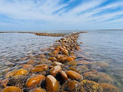 桃園珍珠海岸美景-百年石滬