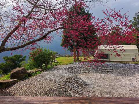 谷力農場露營區