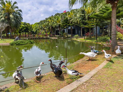 桃蘆坑休閒農場