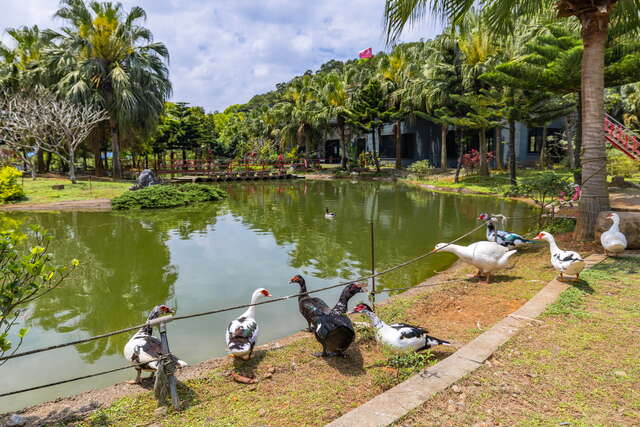 桃蘆坑休閒農場