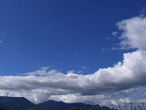 2503b932-8327-4bd0-8f1b-b69d7073ad33