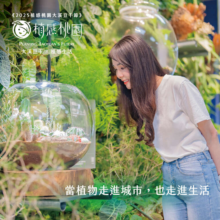 因應颱風影響，大溪豆干節延期至11月22、23日「百人豆干宴」15日如期登場