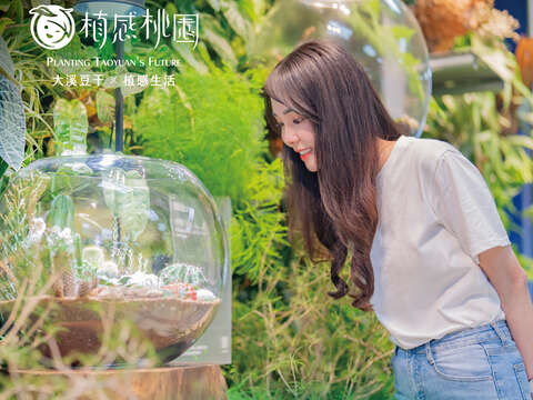 因應颱風影響，大溪豆干節延期至11月22、23日「百人豆干宴」15日如期登場