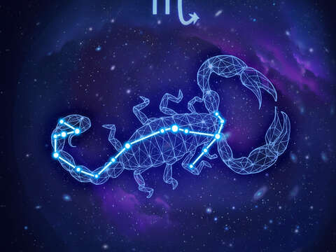 天蠍宮Scorpio-♏︎
