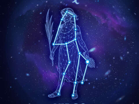 處女宮Virgo-♍︎