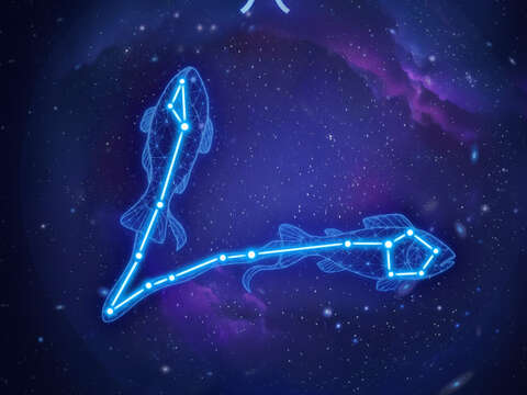 雙魚宮Pisces-♓︎