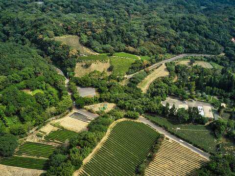 大北坑休閒農業區