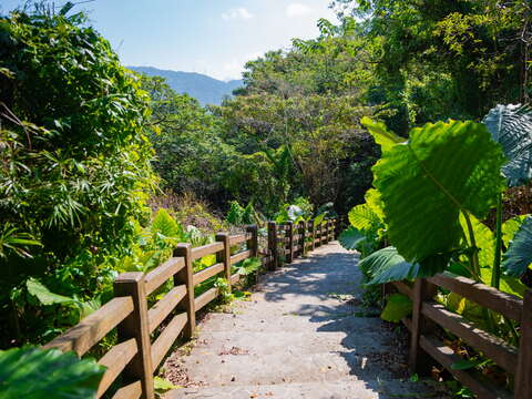 百年挑擔石板古道