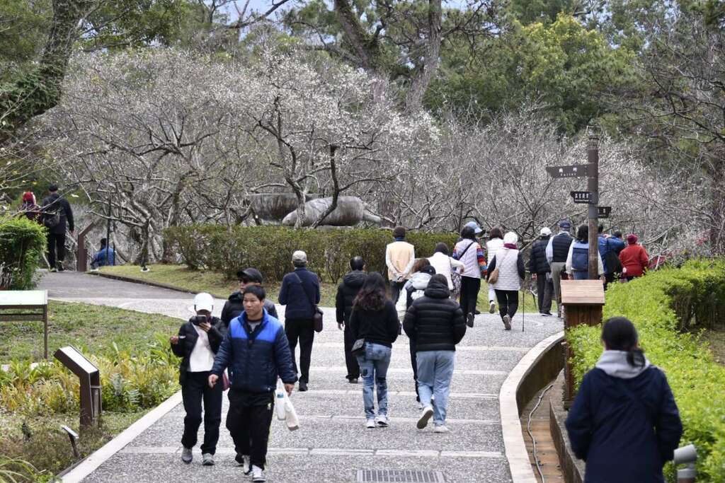 2026角板山行館梅花季，邀您漫步行館賞梅去!