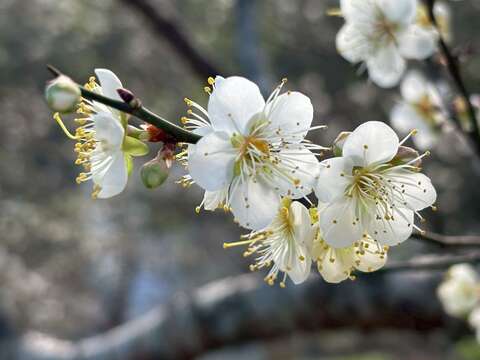 0e2a7d67-c9c9-44a5-b499-8b0a9b54218c