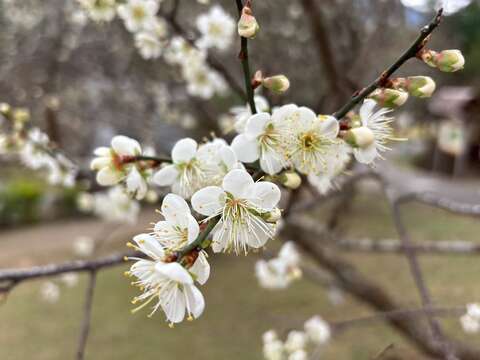 805b1c75-d0da-41f6-9294-fbcfb0eeff11