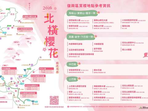 跟著「2026北橫櫻花散步地圖」賞櫻去