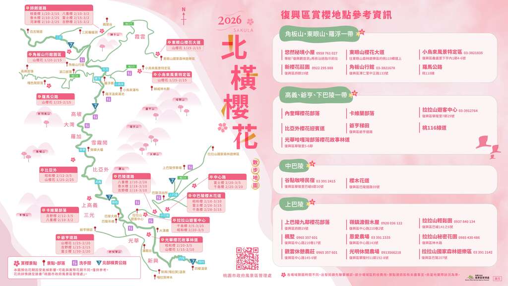 跟著「2026北橫櫻花散步地圖」賞櫻去