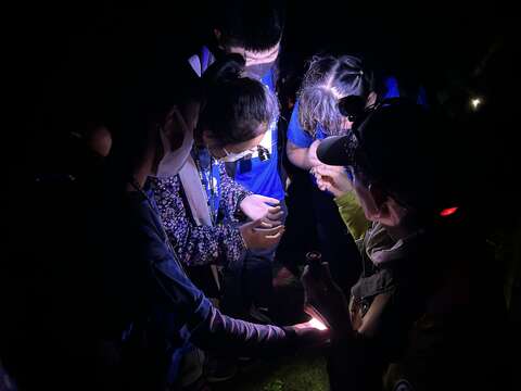 夜間觀察(新竹分署東眼山自然教育中心提供)