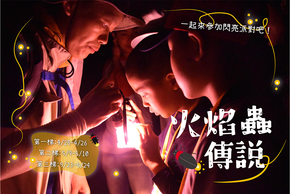 東眼山「火焰蟲傳說」共創夜間生態的驚奇故事