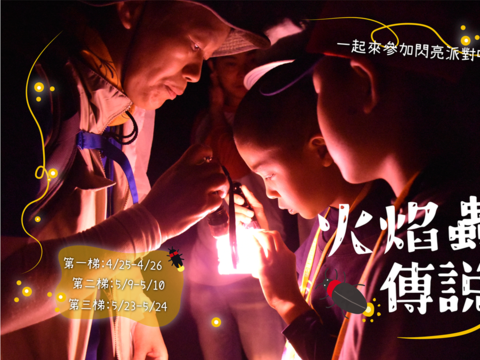 東眼山「火焰蟲傳說」共創夜間生態的驚奇故事