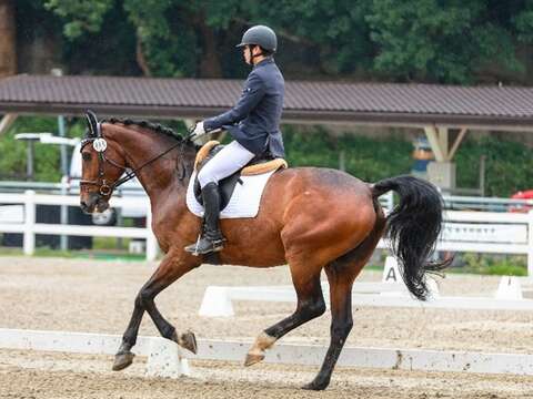 馬場馬術被稱為「馬術中的芭蕾」，講究人與馬之間的精準配合。