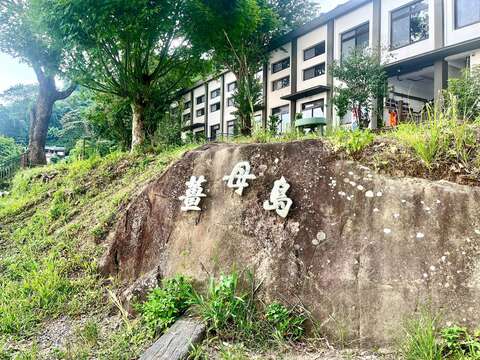 薑母島
