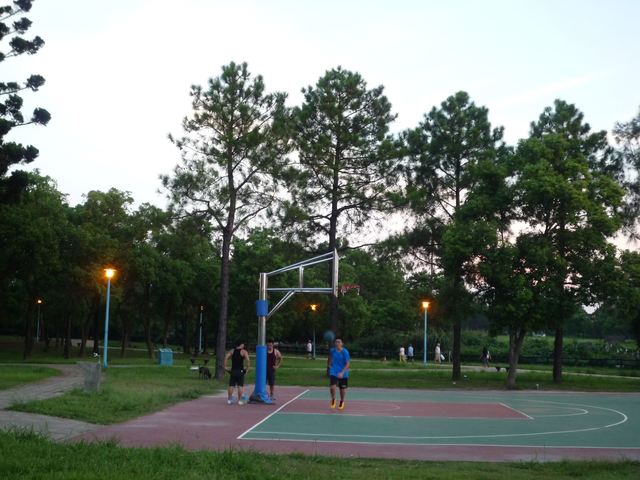 龍岡森林公園