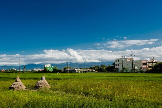 八德茄苳霄裡陽光鐵馬道