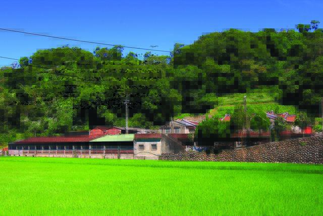 龍潭三水里茶園