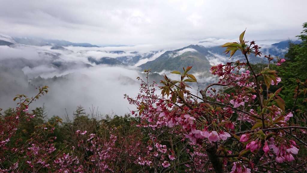 俠雲山莊 桃園觀光導覽網