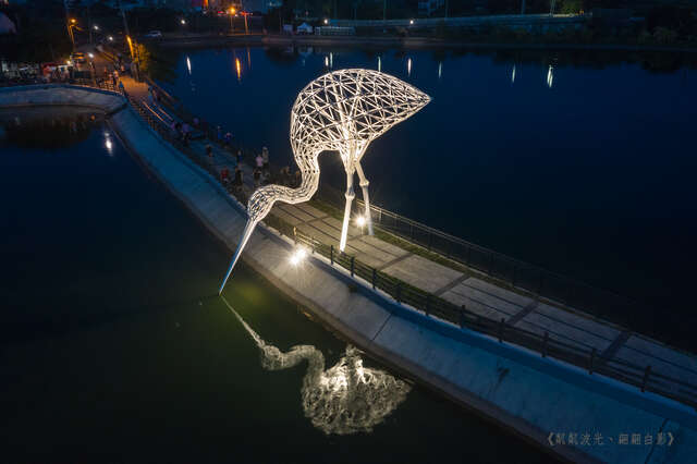 粼粼波光、翩翩白影(地景藝術節白鷺鷥)