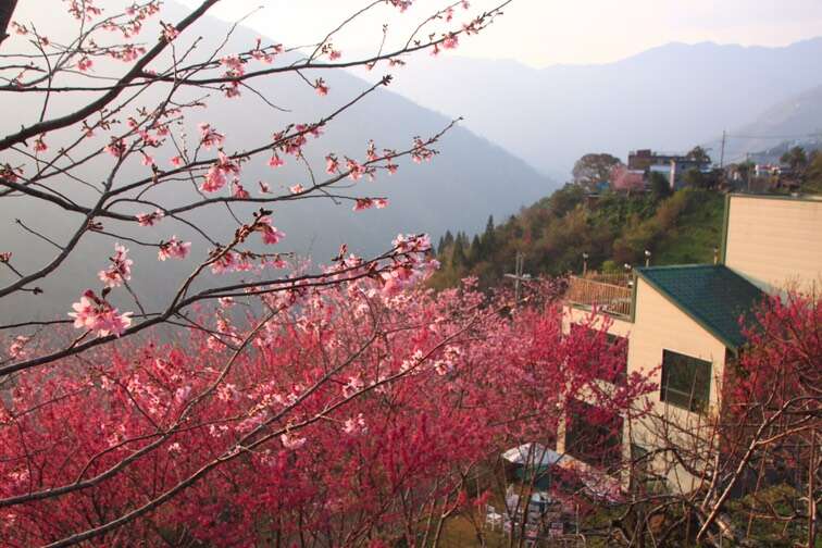 二馬山莊 桃園觀光導覽網