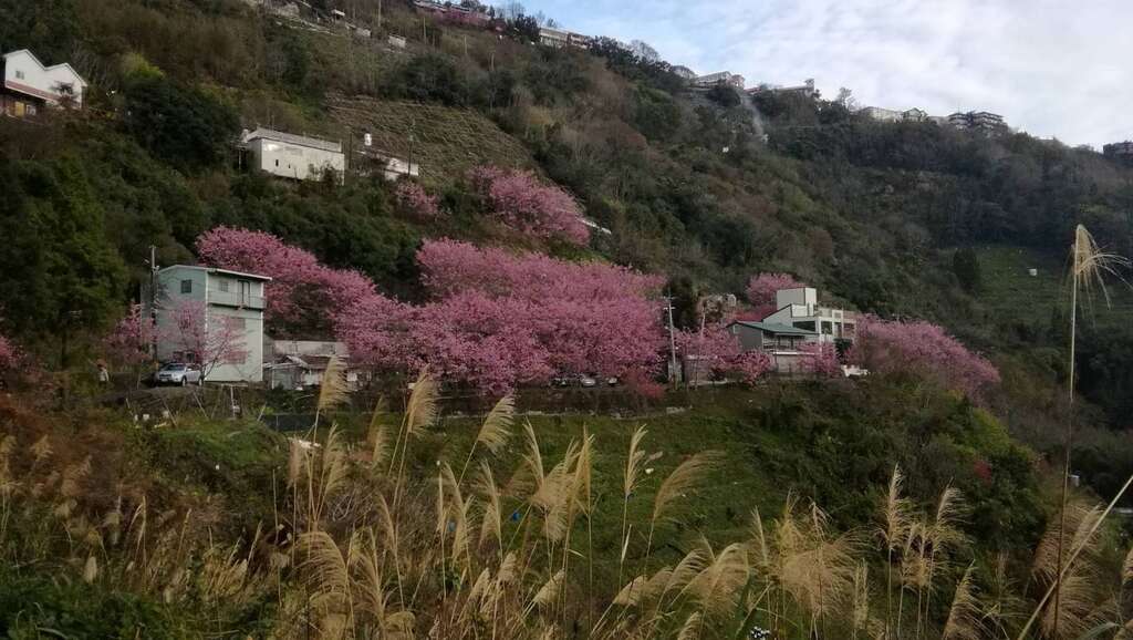二馬山莊 桃園觀光導覽網
