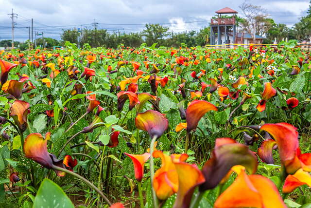 溪海休閒農業區