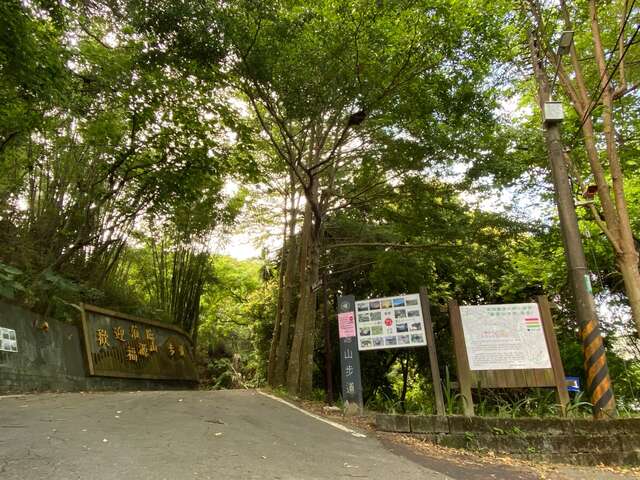 福源山步道-步道意象，森森綠意