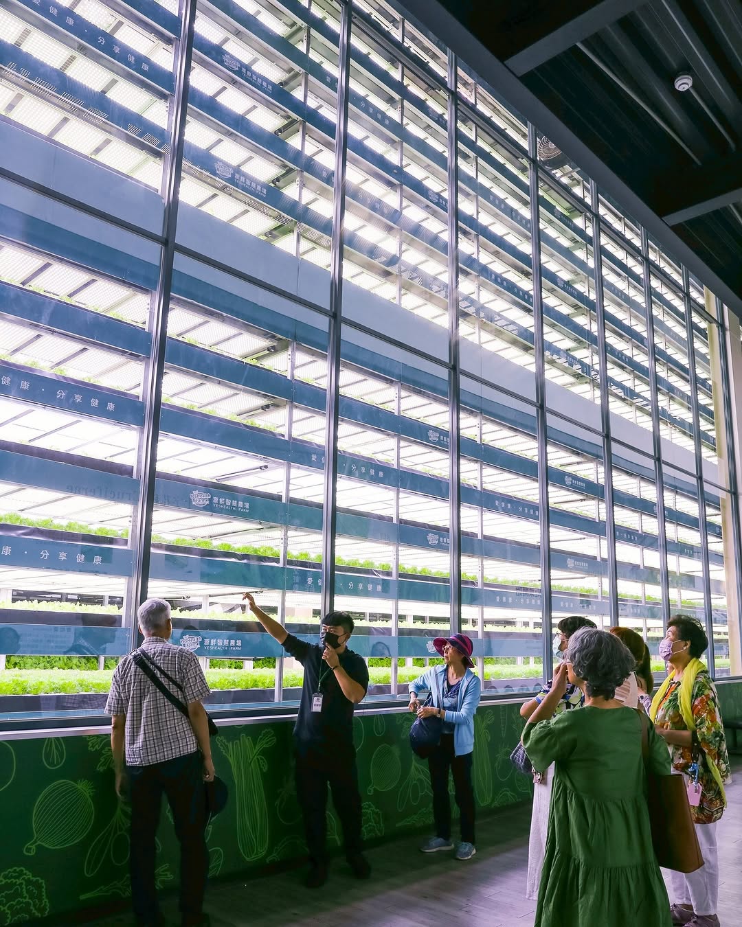 【 #跟著小桃走 「看得見的新鮮」在桃園】你知道今天是 #國際素食日 嗎？在這個倡導友善飲食、重視永續理念的日子小桃子帶你一趟 #...