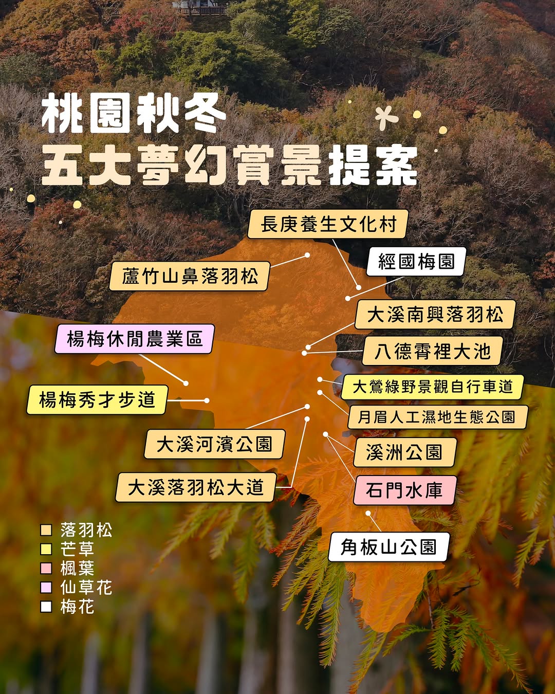 【 #懶人包 桃園秋冬五大夢幻賞景提案 】秋冬想賞花、感受季節限定美景？來桃園就對了！從繽紛花海到療癒林景，最迷人的季節風光一次看...
