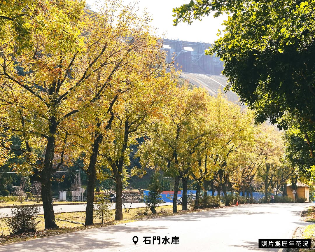 【 #跟著小桃走 石門楓半馬 x 周邊小旅行 】#2025桃園半程馬拉松石門水庫楓半馬將在 12月7日盛大開跑‍♂️現在的石門水庫...