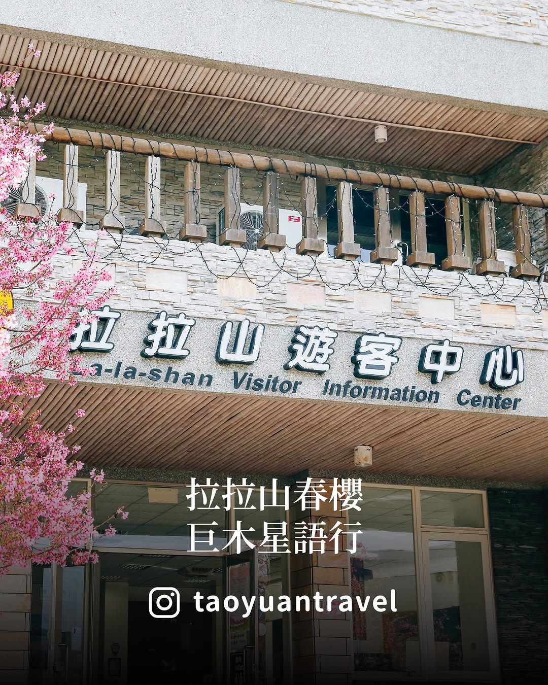 到拉拉山賞櫻、看星空、遊神木區每年 2 月中至 3 月初，#北橫公路 櫻花沿著山路盛開一路都是春天最粉嫩的模樣推薦大家可以在拉拉山...