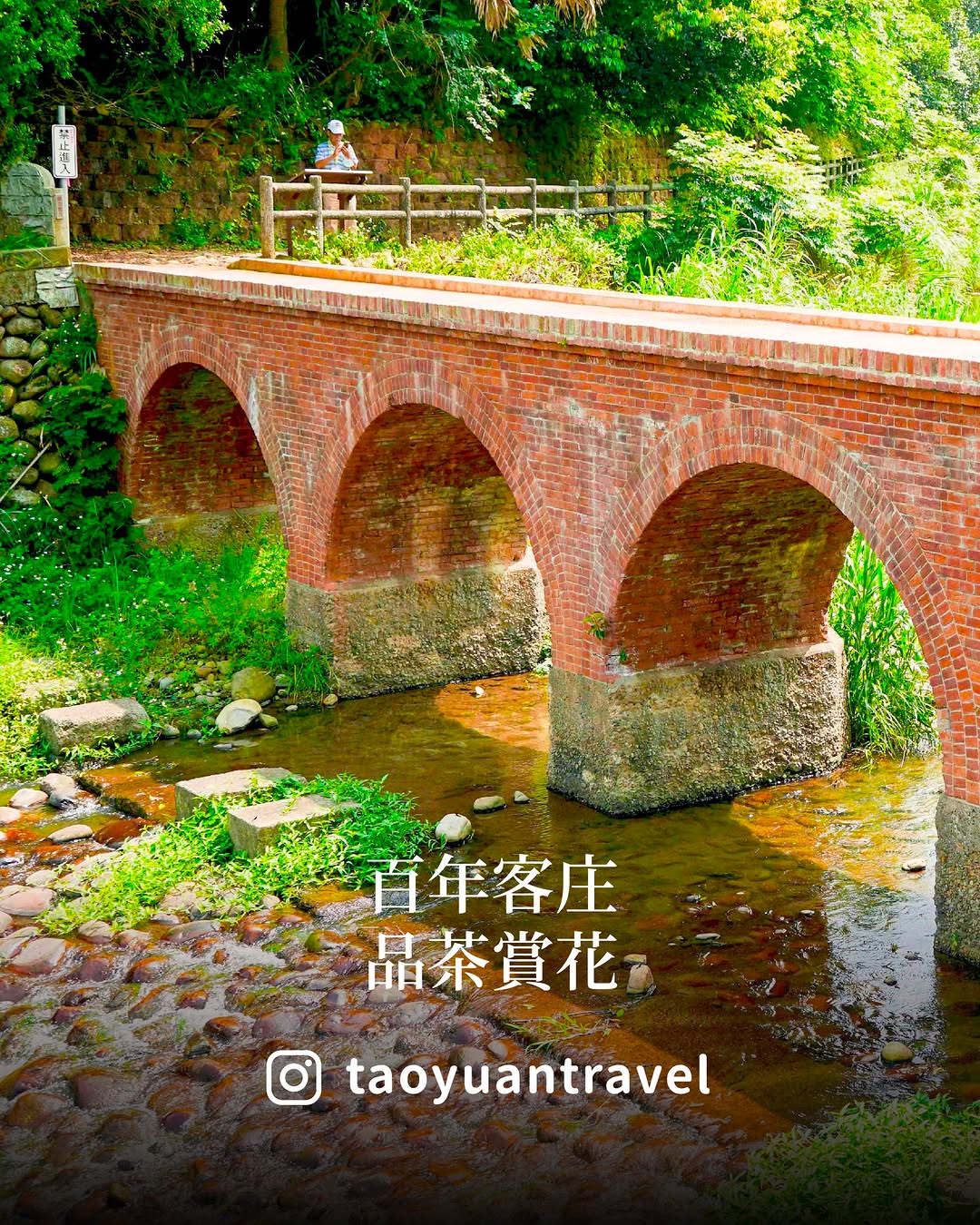  #花馬嬉春 百年客庄・品茶賞花的春遊提案春節走春，放慢腳步走進龍潭山林吧！小桃子推薦這條結合 #百年古道 x #茶文化 的療癒路...