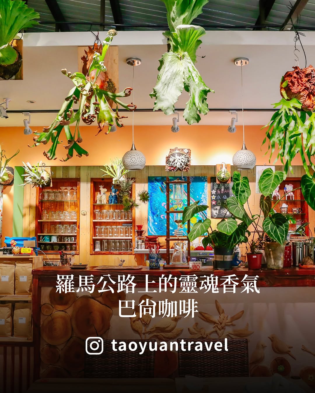 【 #小桃子美食家 羅馬公路上的靈魂香氣 巴尚咖啡☕️】今天帶大家遠離城市，找個能慢慢呼吸的地方，位在北橫 #羅馬公路 旁的 #巴...