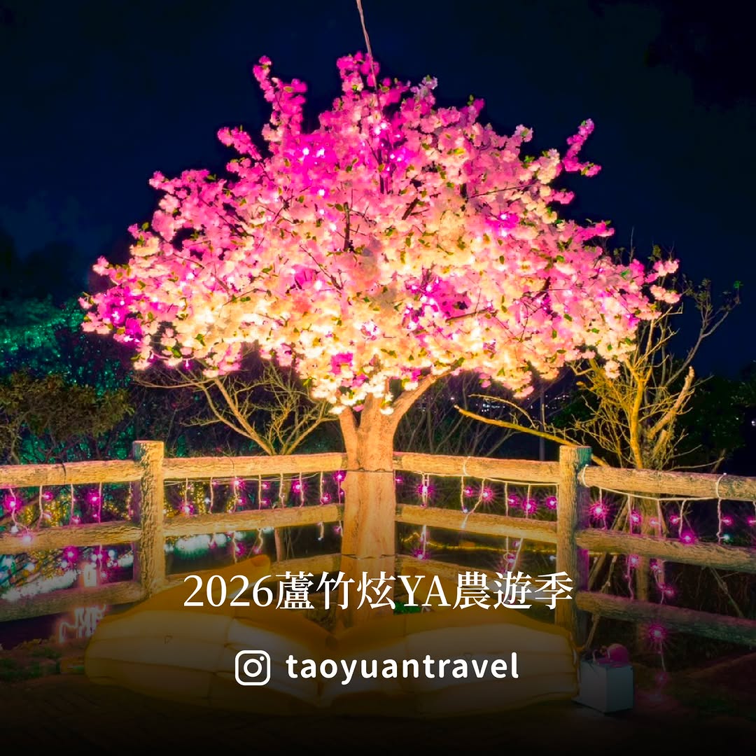 【 #跟著小桃走 2026蘆竹炫YA農遊季】蘆竹的夜空，亮起來了當科技光影走進田園山林當藝術燈景鋪展在山徑之間今年春天，#大古山登...