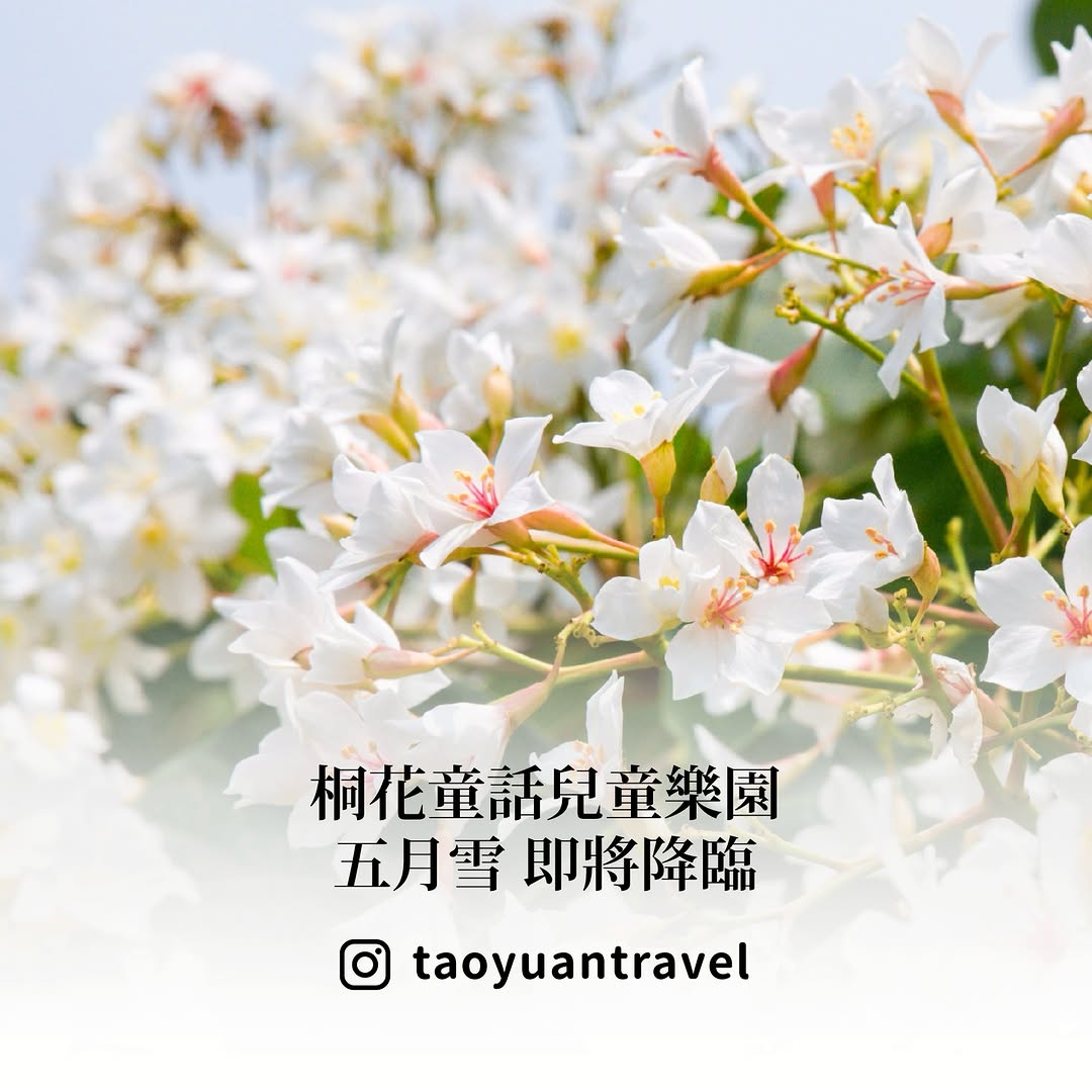【 #跟著小桃走 桐花童話兒童樂園】春天最童趣、最浪漫的 #五月雪 即將降臨今年 #桃園桐花祭 升級成一座 #桐花童話兒童樂園！帶...