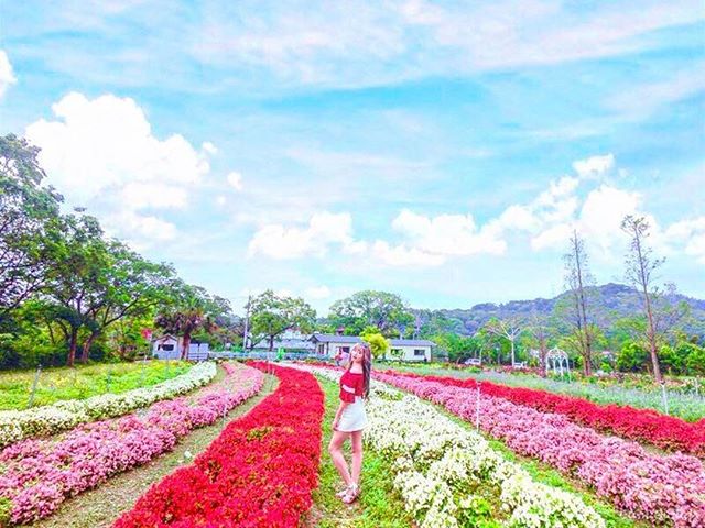 富田花園農場 桃園観光旅行